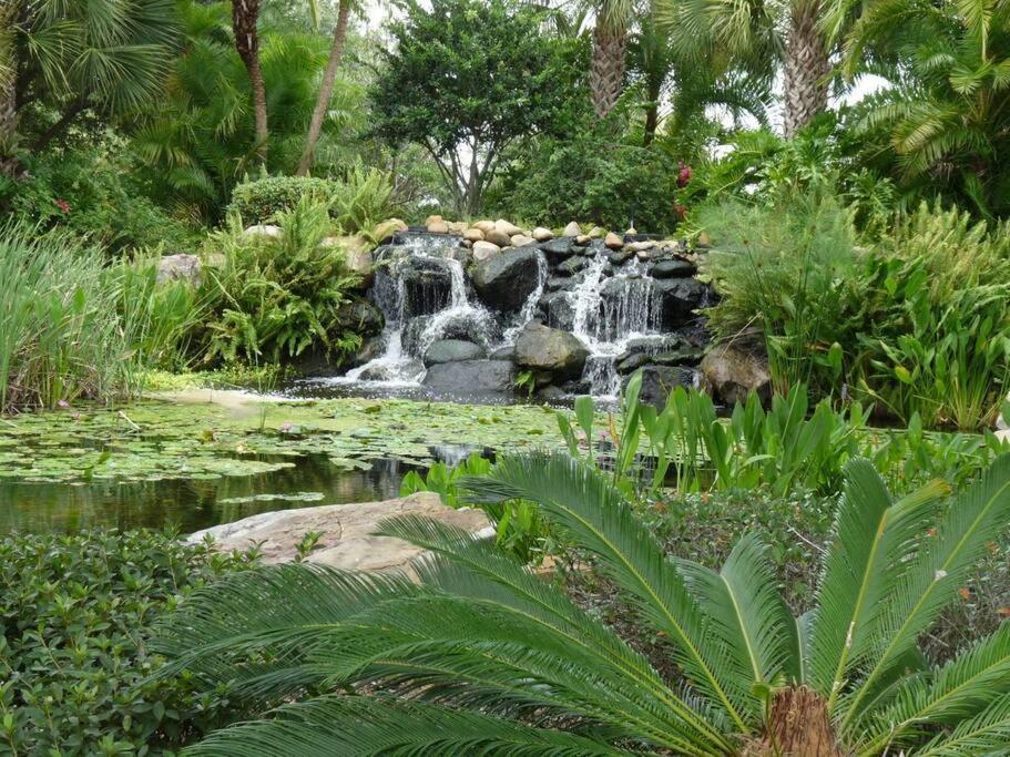 Hidden Oasis Near Orlando, Disney, Etc. Appartement Kissimmee